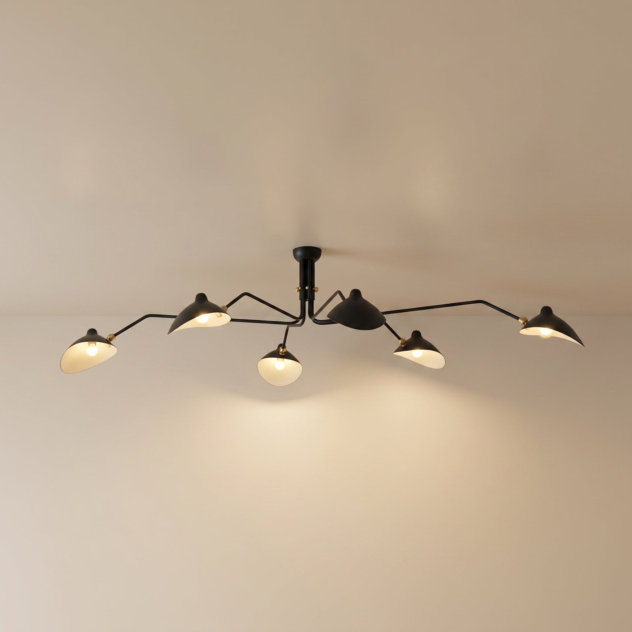 Marvão multi-arm ceiling light with brass hardware and six black arms, front product view
